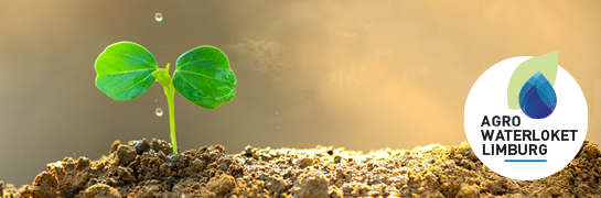 Agrowaterloket Limburg - plantje