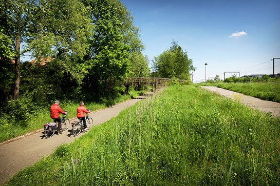 twee fietsers op asfalt weggetje in het groen net voor een houten brug (fotograaf Robin Reynders)